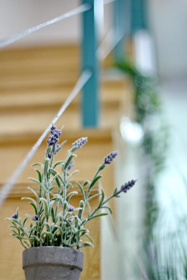 בודפשט Lovely&Modern Downtown Apartment With Free Parking מראה חיצוני תמונה